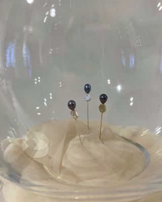 Snový svět perel a chroustů 🫧🧚🏻🫧 Špendlíky Melolontha vulgaris.