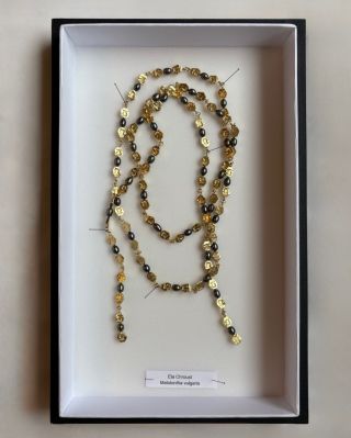 Jedna z novinek letošních Vánoc🌚✨ Náhrdelník Melolontha vulgaris. Zlacené stříbro a černozelené perly. 136cm délky pro...